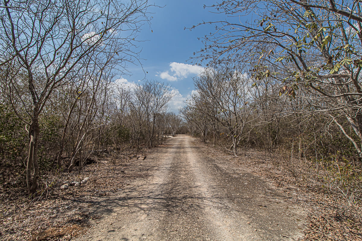 Img Lote 04 - Massive Land in Cholul