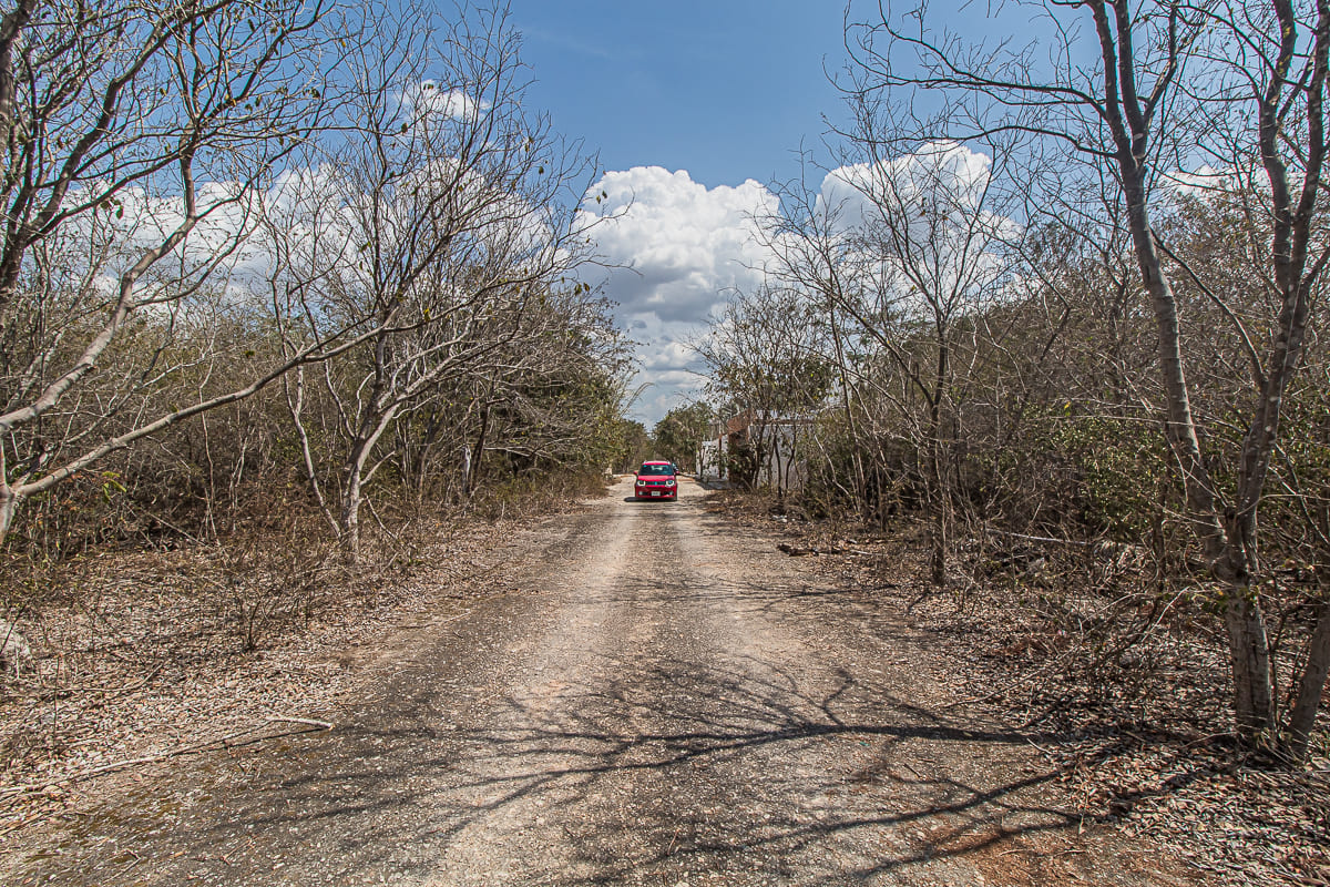 Img Lote 04 - Massive Land in Cholul