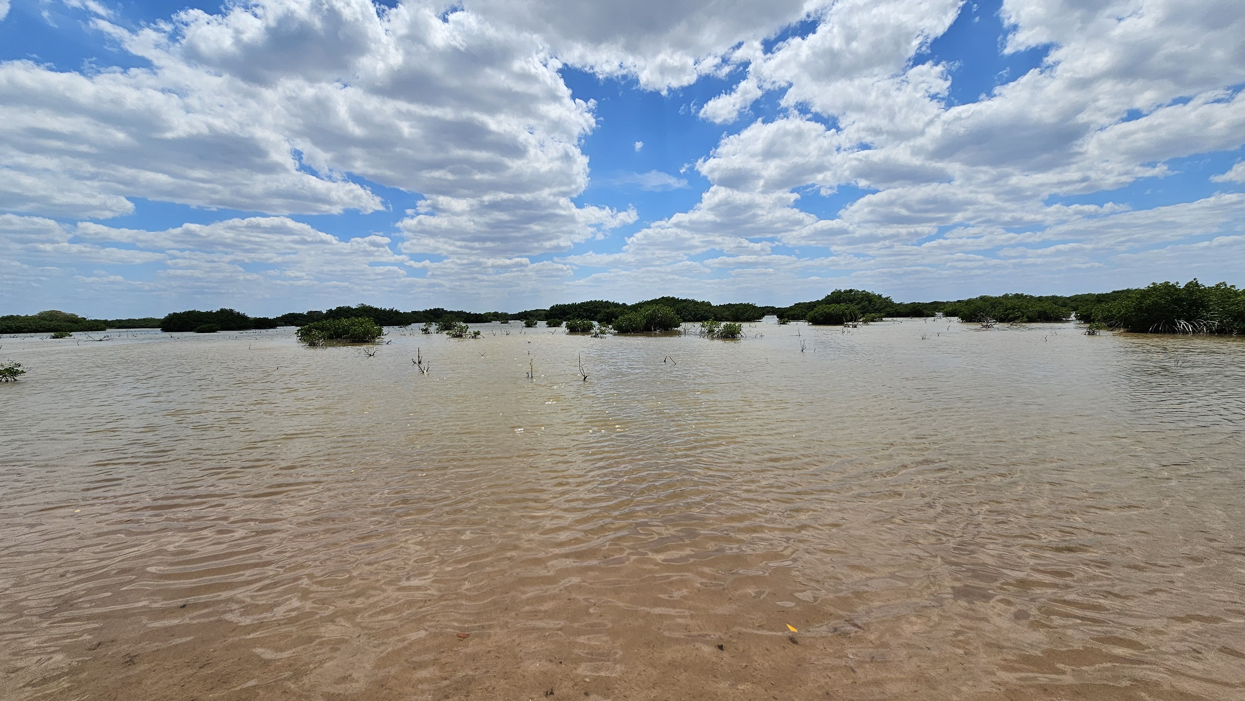 Img Lot for Sale in the Fisherman Port of Santa Clara