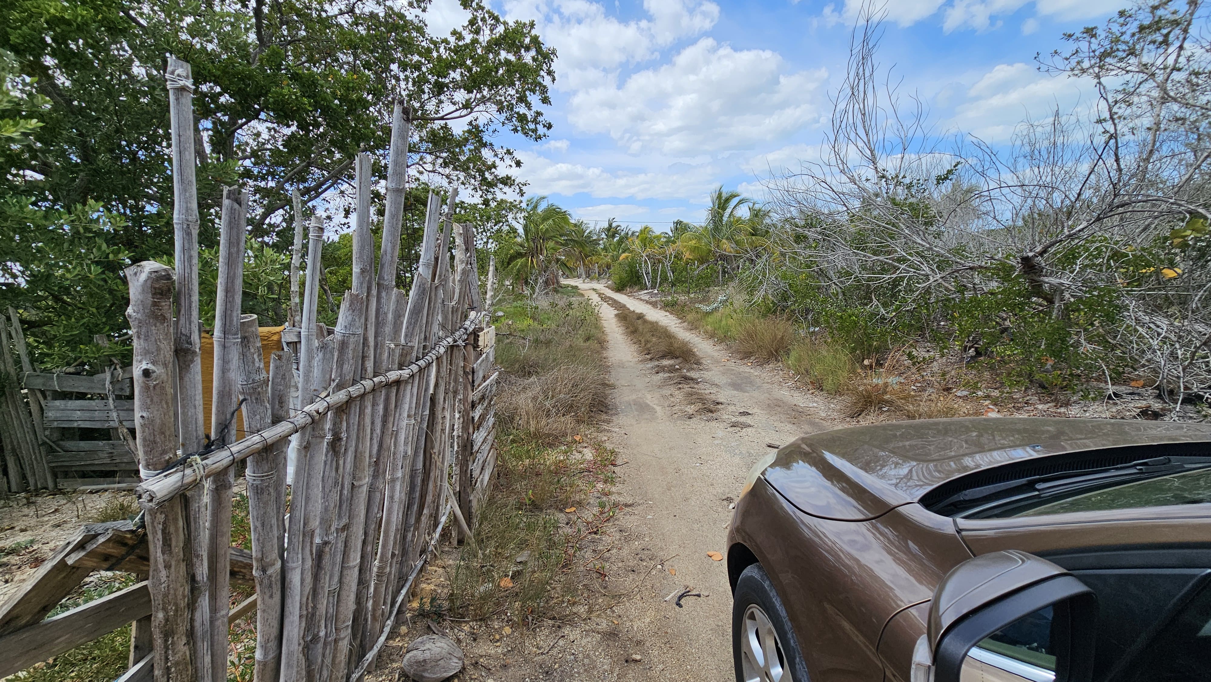 Img Lot for Sale in the Fisherman Port of Santa Clara